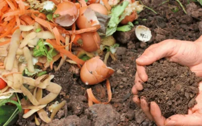 Food waste management for vacation rentals