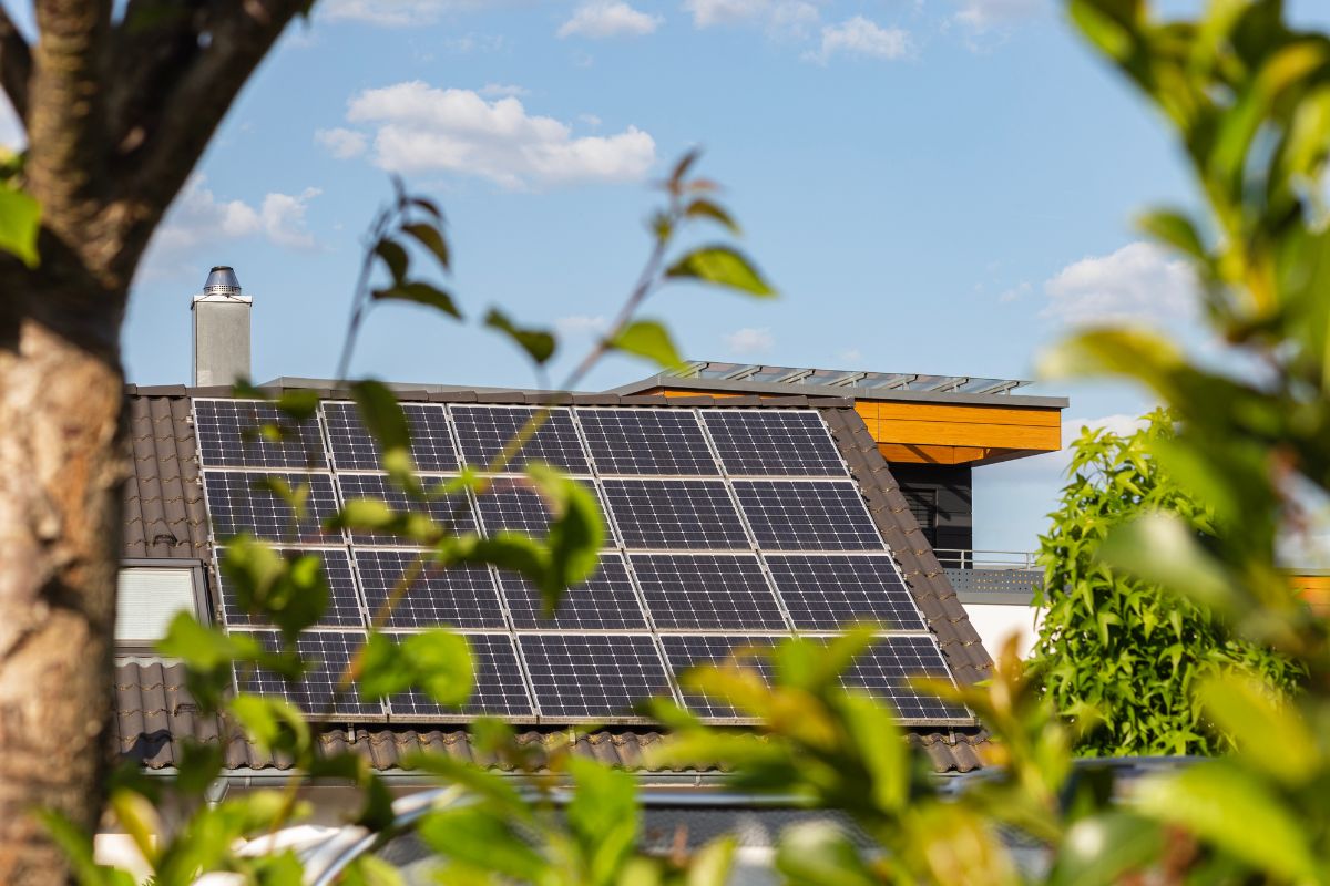 Is Carbon Insetting the New Offsetting?